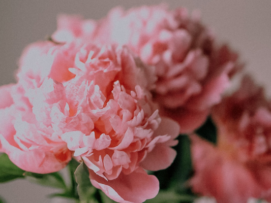 Postpartum Isn’t Over in 6 Weeks: Rethinking Recovery This Mother’s Day