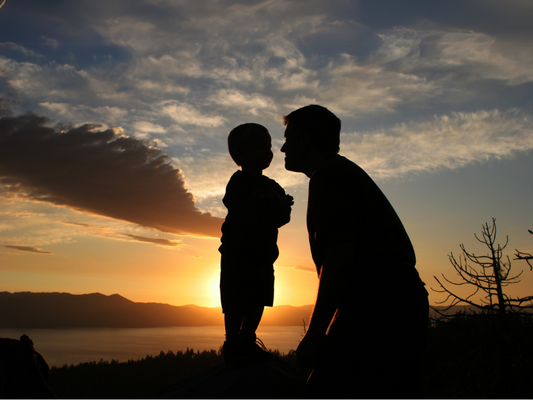 The Four Pillars of Men’s Wellness—And How to Support Them Naturally