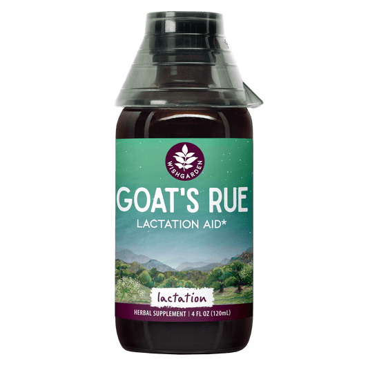 Goat's Rue Lactation Aid