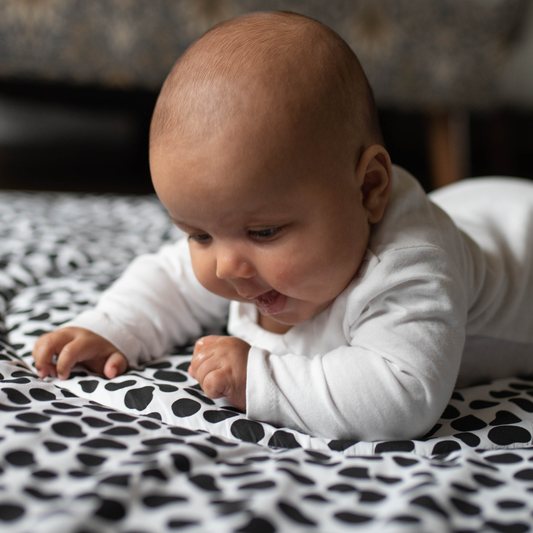 ANIMAL PRINT PLAYMAT- reversible newborn to 4 months / 5+ months