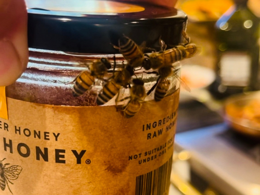 The Healing Power of Honey