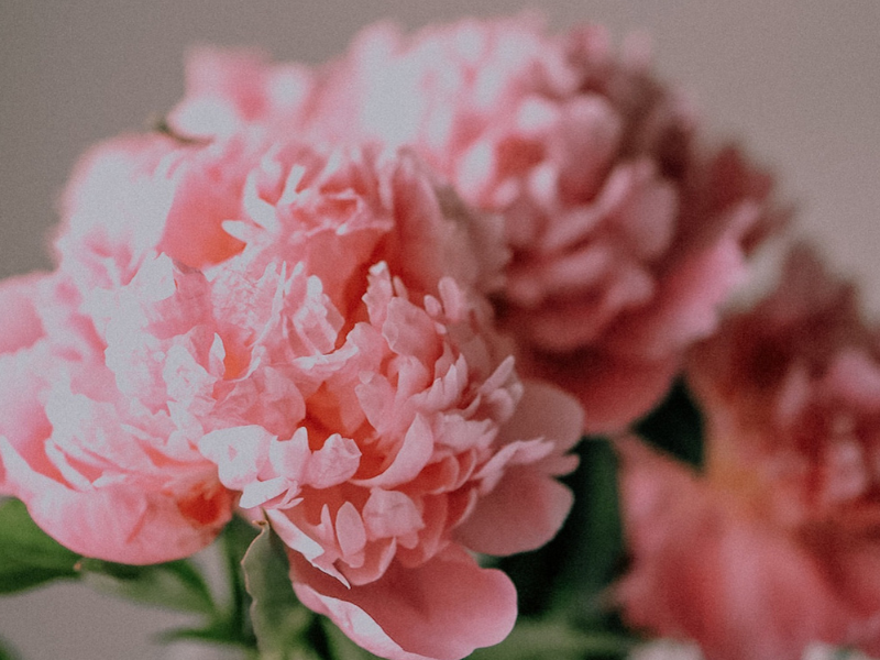 Postpartum Isn’t Over in 6 Weeks: Rethinking Recovery This Mother’s Day