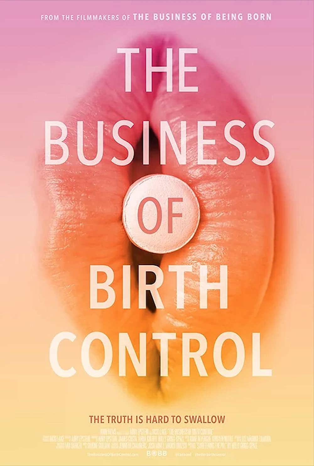 MotherBees Loves: The Business of Birth Control