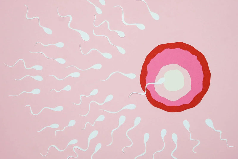 Boosting Fertility Naturally