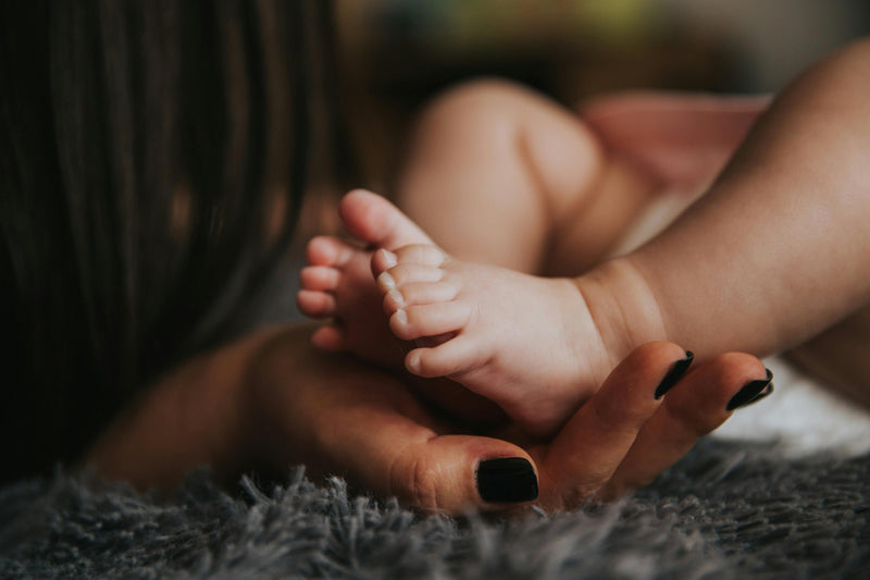 A Foundation for Vibrant Health: Caring for Your Gut Microbiome
