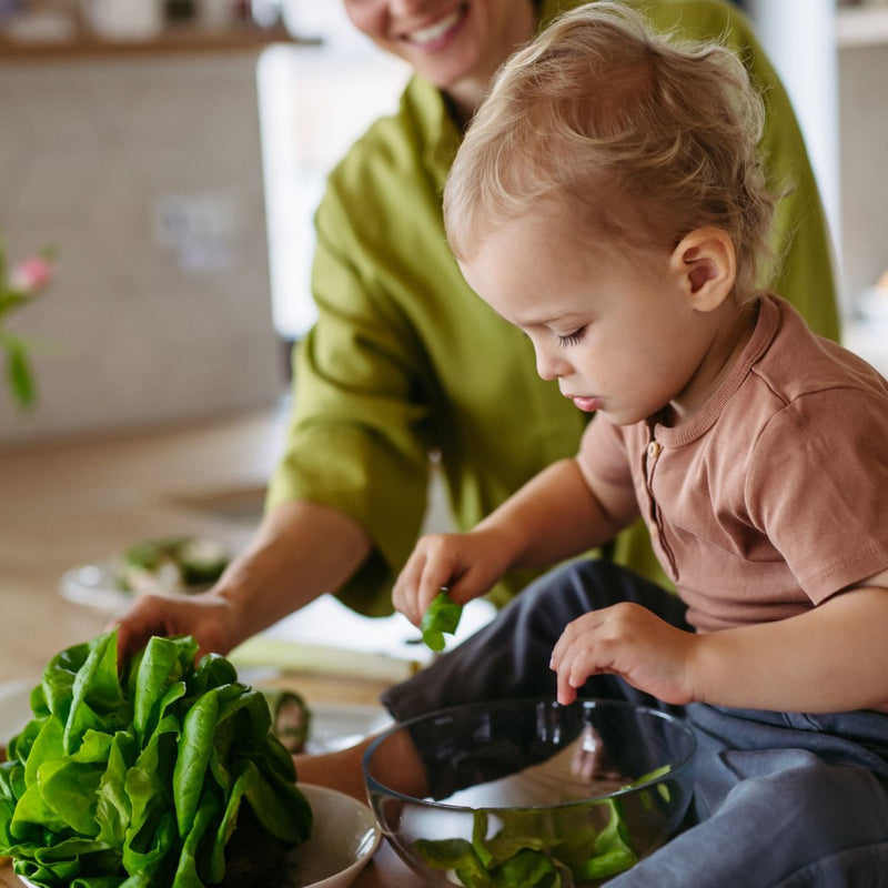 The Confident Eater Toolkit