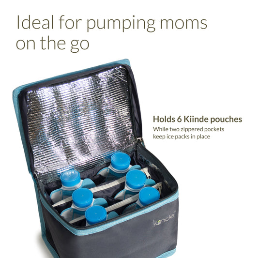 Breast Milk Cooler Bag